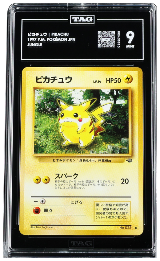 Pokemon - 1997 PIKACHU P.M. POKÉMON JAPANESE #NNO JUNGLE TAG 9